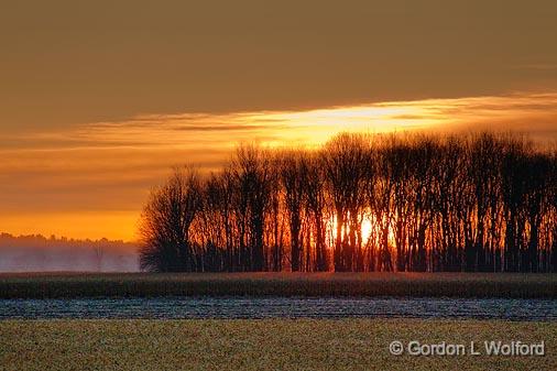 Sunrise Behind Trees_10573.jpg - Photographed at Ottawa, Ontario - the capital of Canada.